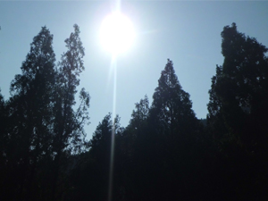 һ���(y��ng)��